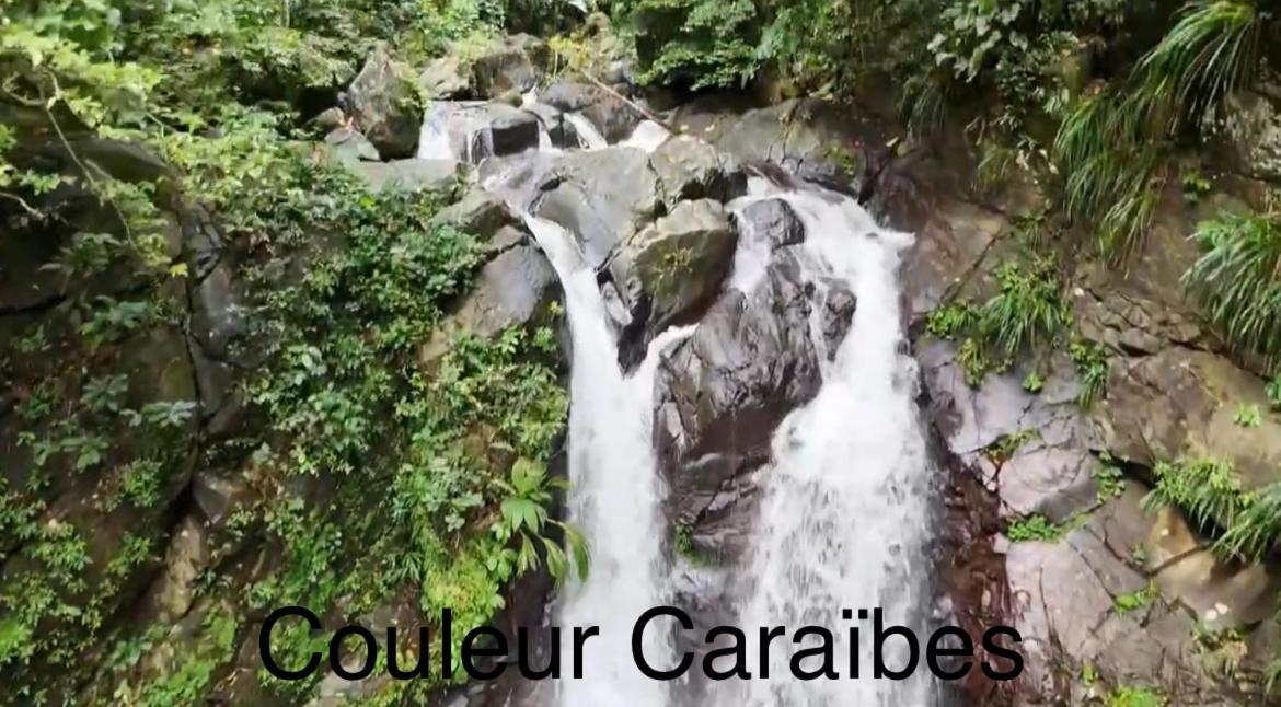 Couleur Caraibes-Cocobeach Martinique Pierre Et Vacances Sainte-Luce Kültér fotó