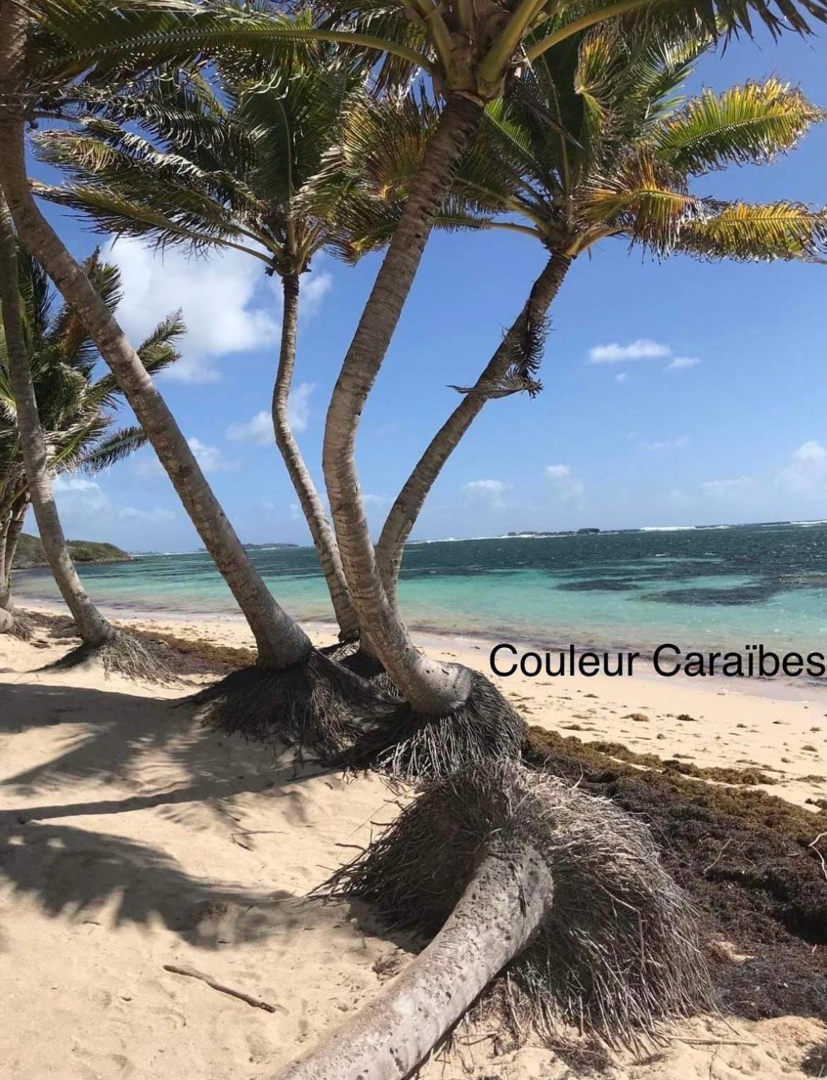 Couleur Caraibes-Cocobeach Martinique Pierre Et Vacances Sainte-Luce Kültér fotó
