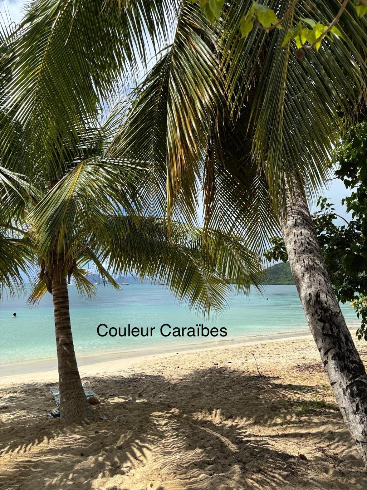 Couleur Caraibes-Cocobeach Martinique Pierre Et Vacances Sainte-Luce Kültér fotó